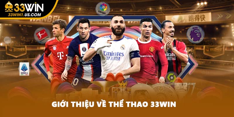 Giới thiệu về thể thao 33WIN